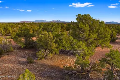 2538 S Kaibab Road, Williams, AZ 86046 - Photo 2