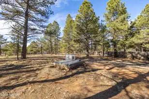 225 S Beech Dr, Flagstaff, AZ 86004 - Photo 38