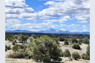 6661 S Roadrunner Lane, Williams, AZ 86046 - Photo 4