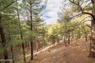 2495 Chof Trail, Flagstaff, AZ 86005 - Photo 48