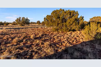 4411 E Cedar Road, Williams, AZ 86046 - Photo 20