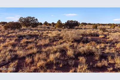 4411 E Cedar Road, Williams, AZ 86046 - Photo 2