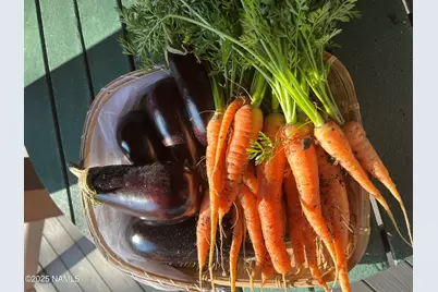 39291 Lake Mary Road, Happy Jack, AZ 86024 - Photo 10