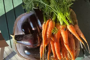 39291 Lake Mary Rd, Happy Jack, AZ 86024 - Photo 10