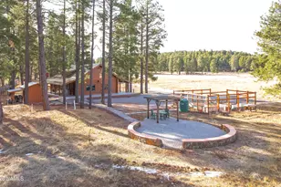 39291 Lake Mary Rd, Happy Jack, AZ 86024 - Photo 34