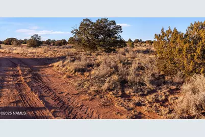4373 E Cedar Road, Williams, AZ 86046 - Photo 8