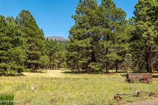 13898 Alpenglow Rd, Flagstaff, AZ 86001 - Photo 30