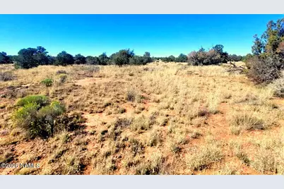 2354 S Holly Hock Lane, Williams, AZ 86046 - Photo 10