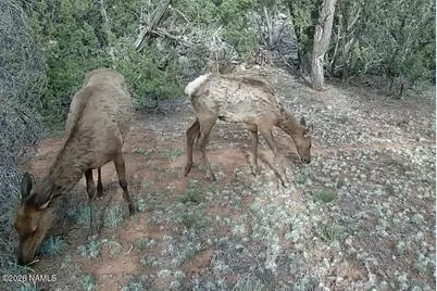 Lot 186A Bull Run Road, Williams, AZ 86046 - Photo 1