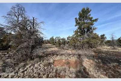 Lot 186C Bull Run Road, Williams, AZ 86046 - Photo 14