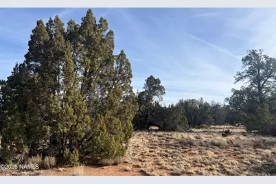 Lot 186C Bull Run Road, Williams, AZ 86046 - Photo 6