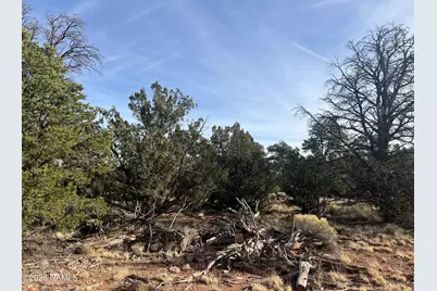 Lot 186C Bull Run Road, Williams, AZ 86046 - Photo 4