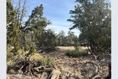Lot 186B Bull Run Road, Williams, AZ 86046 - Photo 4