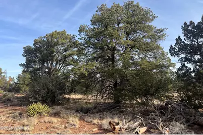 Lot 186B Bull Run Road, Williams, AZ 86046 - Photo 26