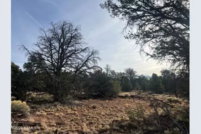 Lot 186B Bull Run Road, Williams, AZ 86046 - Photo 10