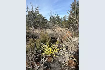 Lot 186B Bull Run Road, Williams, AZ 86046 - Photo 30