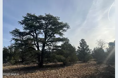 Lot 186B Bull Run Road, Williams, AZ 86046 - Photo 32