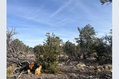 Lot 186B Bull Run Road, Williams, AZ 86046 - Photo 24