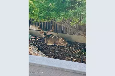 2500 N Carefree Circle, Flagstaff, AZ 86004 - Photo 72