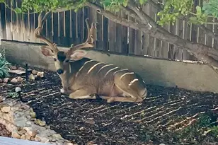 2500 N Carefree Cir, Flagstaff, AZ 86004 - Photo 72