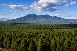 4357 Appaloosa St, Flagstaff, AZ 86005 - Photo 8