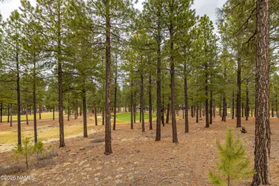 3950 W Tack Room, Flagstaff, AZ 86005 - Photo 42