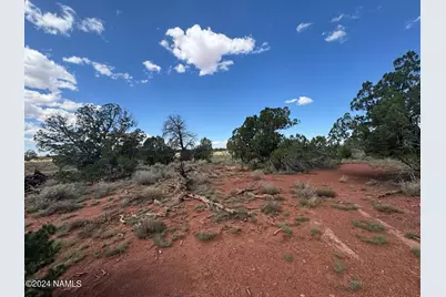 196 S Kaibab Road, Williams, AZ 86046 - Photo 6