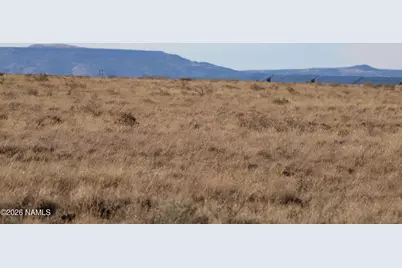 000 Pinto Road, Winslow, AZ 86047 - Photo 4