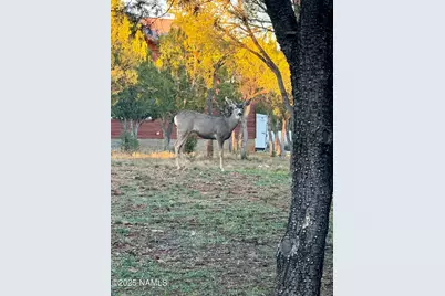 2761 Apollo Circle, Heber-Overgaard, AZ 85933 - Photo 50