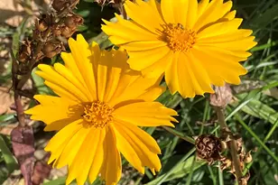 4485 E Wild Elk Trail, Flagstaff, AZ 86004 - Photo 24