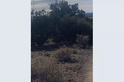 1548 E Mission Drive, Williams, AZ 86046 - Photo 4