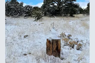 13537 Bly Station Road, Williams, AZ 86046 - Photo 48