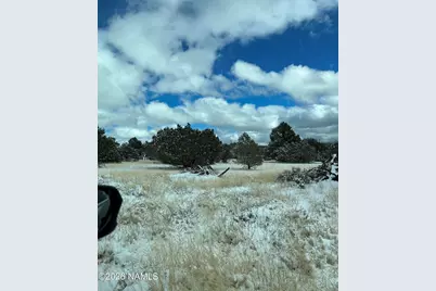 13537 Bly Station Road, Williams, AZ 86046 - Photo 6