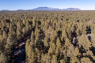 2891 Chaco Trail, Flagstaff, AZ 86005 - Photo 8