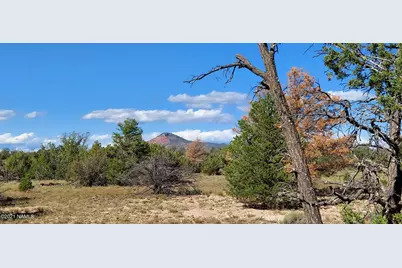 6863 N State Route 64, Williams, AZ 86046 - Photo 2