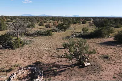 6863 N State Route 64, Williams, AZ 86046 - Photo 8
