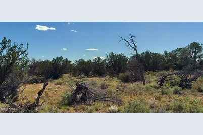 6863 N State Route 64, Williams, AZ 86046 - Photo 24
