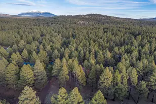 1623 N Maid Marian Dr, Parks, AZ 86018 - Photo 40