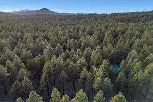 1623 N Maid Marian Dr, Parks, AZ 86018 - Photo 42