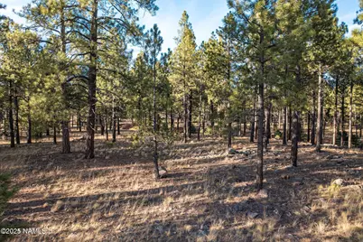 7175 W Naval Observatory Road, Flagstaff, AZ 86001 - Photo 4