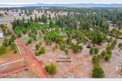 100 S Hot Rod Alley, Parks, AZ 86018 - Photo 8