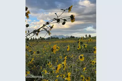 2638 Tishepi Trail, Flagstaff, AZ 86005 - Photo 30