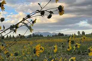 2638 Tishepi Trail, Flagstaff, AZ 86005 - Photo 30