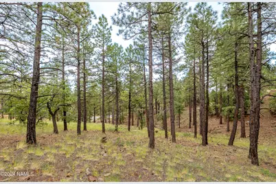 4540 S Flagstaff Ranch Road, Flagstaff, AZ 86005 - Photo 6