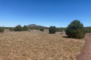 8187 N Cassity Trail, Williams, AZ 86046 - Photo 52
