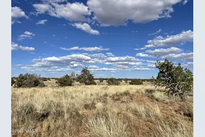3350 Silver Bear Lane #Lot 3, Williams, AZ 86046 - Photo 14