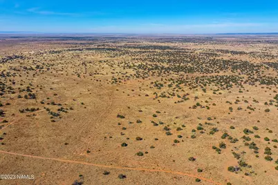 3350 Silver Bear Lane #Lot 2, Williams, AZ 86046 - Photo 10