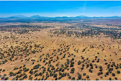 3350 Silver Bear Lane #Lot 2, Williams, AZ 86046 - Photo 6