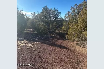 872 E Deerlick Trail, Williams, AZ 86046 - Photo 10