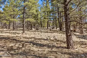 2274 N San Francisco St, Flagstaff, AZ 86001 - Photo 58